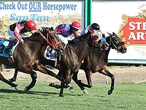 Papa's Flashy Girl wins the 2014 Scottsdale Handicap.