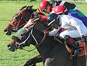 Papa's Flashy Girl wins the 2014 Scottsdale Handicap.