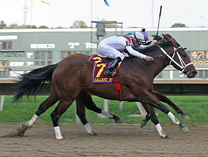 Pashito The Che wins the 2009 Gallant Bob.