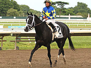 Patsy's Holiday wins the 2014 Desert Vixen Stakes.
