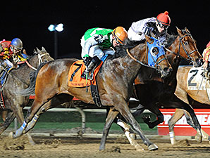 Patty's Key wins the 2014 John Wayne Stakes.