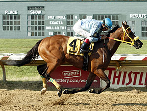 Pay the Man wins the 2011 Rose DeBartolo Memorial Stakes.
