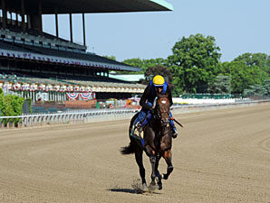 Paynter - Belmont Park, June 1, 2012.