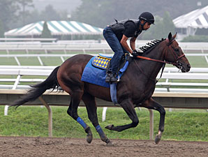 Paynter - Monmouth Park, July 28, 2012.