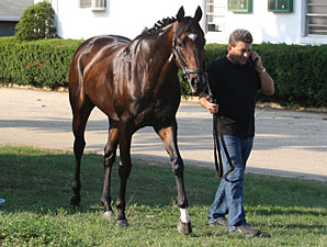 Paynter - Monmouth Park, July 26, 2012.
