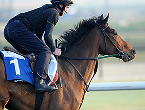 Penitent - Dubai, March 28, 2013.