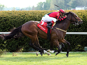 Perfect Officer wins the 2012 Shakertown Stakes.