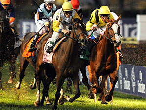 Perfect Shirl wins the 2011 Breeders' Cup Filly & Mare Turf.