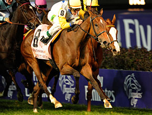 Perfect Shirl wins the 2011 Breeders' Cup Filly & Mare Turf.
