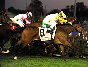Perfect Shirl wins the 2011 Breeders' Cup Filly & Mare Turf.