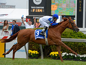 Pianist wins the 2013 Gallorette Handicap.