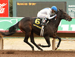 Pinal wins the 2009 Arizona Breeders' Futurity.