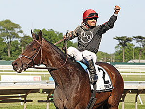 Pinot Grigio wins the Open Mind Handicap.