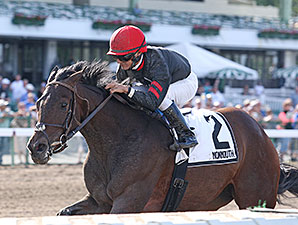 Pinot Grigio wins the Open Mind Handicap.