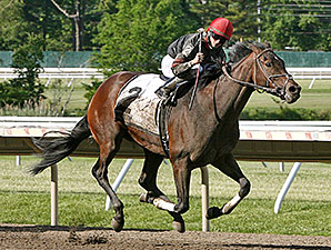 Pinot Grigio wins the Open Mind Handicap.