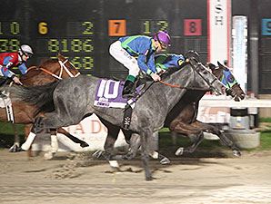 Pioneering Native wins the 2014 B-Connected Stakes.