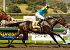 Pioneerof the Nile