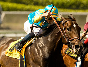 Injury Ends career of Pioneerof the Nile Injury Ends career of Pioneerof the Nile