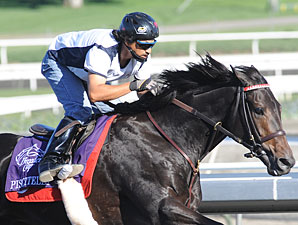Piscitelli at the 2009 Breeders' Cup.