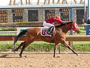 Pistols Drawn wins the 2014 Pretty Jenny Stakes.