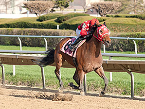 Pistols Drawn wins the 2014 Pretty Jenny Stakes.