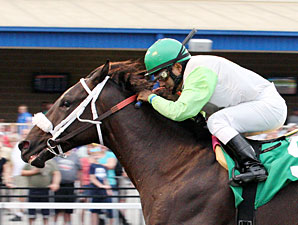 Pitch N Roll wins the 2012 Mark McDermott Stakes.