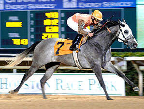 Platinum Song wins the 2013 Bara Lass Stakes.