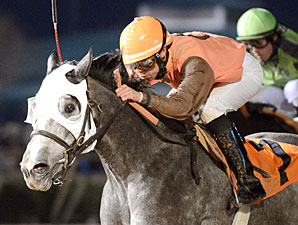 Platinum Song wins the 2013 Bara Lass Stakes.
