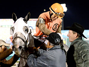 Platinum Song wins the 2013 Bara Lass Stakes.