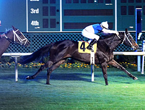 Pleasantly Blessed wins the 2012 Jersey Lilly Stakes.