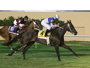 Pleasantly Blessed wins the 2011 Ricks Memorial Stakes.