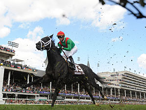 Pluck wins the 2010 Breeders' Cup Juvenile Turf.