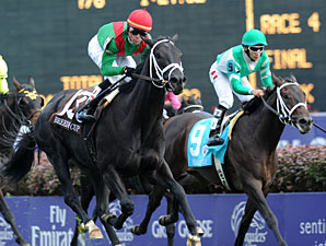 Pluck wins the 2010 Breeders' Cup Juvenile Turf.