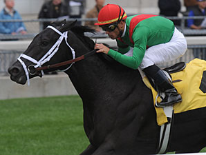 Pluck wins the 2010 Summer Stakes.