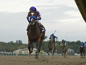Plum Pretty wins the 2011 Cotillion.
