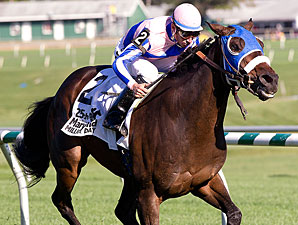 Pocket Patch wins the 2010 Maryland Million Turf.
