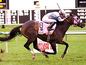 Pocket Patch wins 2011 Maryland Million Turf.