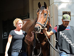 Point of Entry - Gulfstream Park, February 1, 2013.