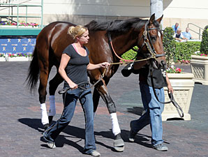 Point of Entry - Gulfstream Park, February 1, 2013.