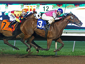 Polar Plunge wins the 2013 Lady Slipper Stakes.