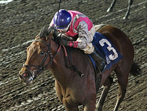 Polar Plunge wins the 2013 Lady Slipper Stakes.