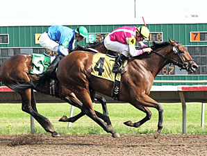 Polar Plunge wins the 2012 Minnesota Distaff Sprint Championship.