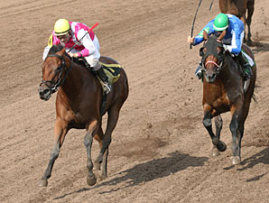 Polar Plunge wins the 2012 Minnesota Distaff Sprint Championship.