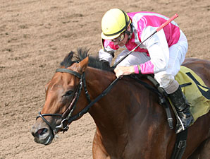 Polar Plunge wins the 2012 Minnesota Distaff Sprint Championship.
