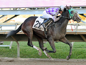 Pollard's Boy wins the 2011 Pennsylvania Nursery Stakes.
