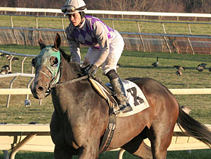 Pollard's Boy wins the 2011 Pennsylvania Nursery Stakes.