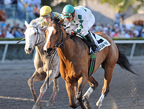 Pomeroys Pistol in the 2011 Forward Gal.