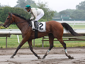 Pomeroys Pistol wins the 2011 Just Smashing Stakes.