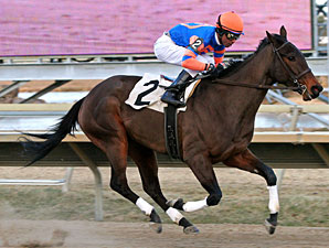 Poovey wins the 2010 Sleigh Ride Stakes.
