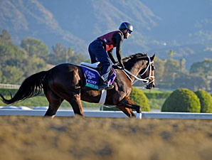 Poseidon's Warrior - Breeders' Cup 2012